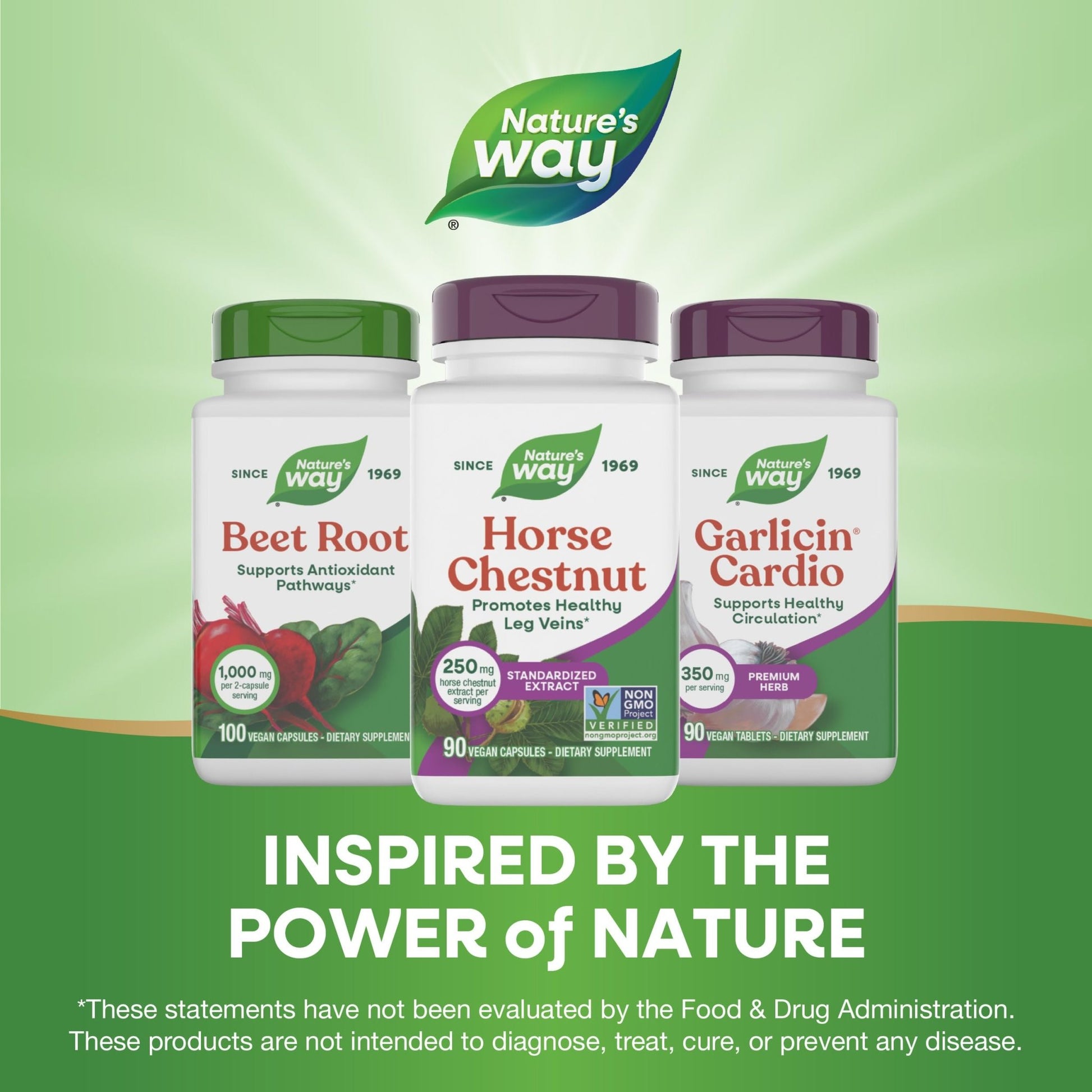Nature's Way Horse Chestnut Extract, Premium Extract, Promotes Healthy Leg Veins*, 250 mg per Serving, Vegan - dailyvitalstore