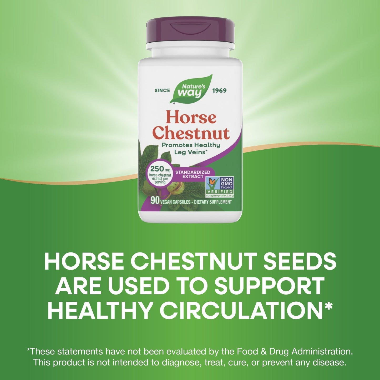 Nature's Way Horse Chestnut Extract, Premium Extract, Promotes Healthy Leg Veins*, 250 mg per Serving, Vegan - dailyvitalstore