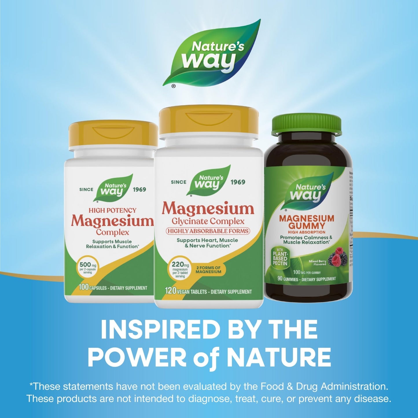 Nature's Way Magnesium Glycinate Complex, Supports Heart, Muscle, Nerve Function*, Highly Absorbable, 220 mg per 2-Tablet Serving, No Gluten, Vegan, 120 Tablets - dailyvitalstore