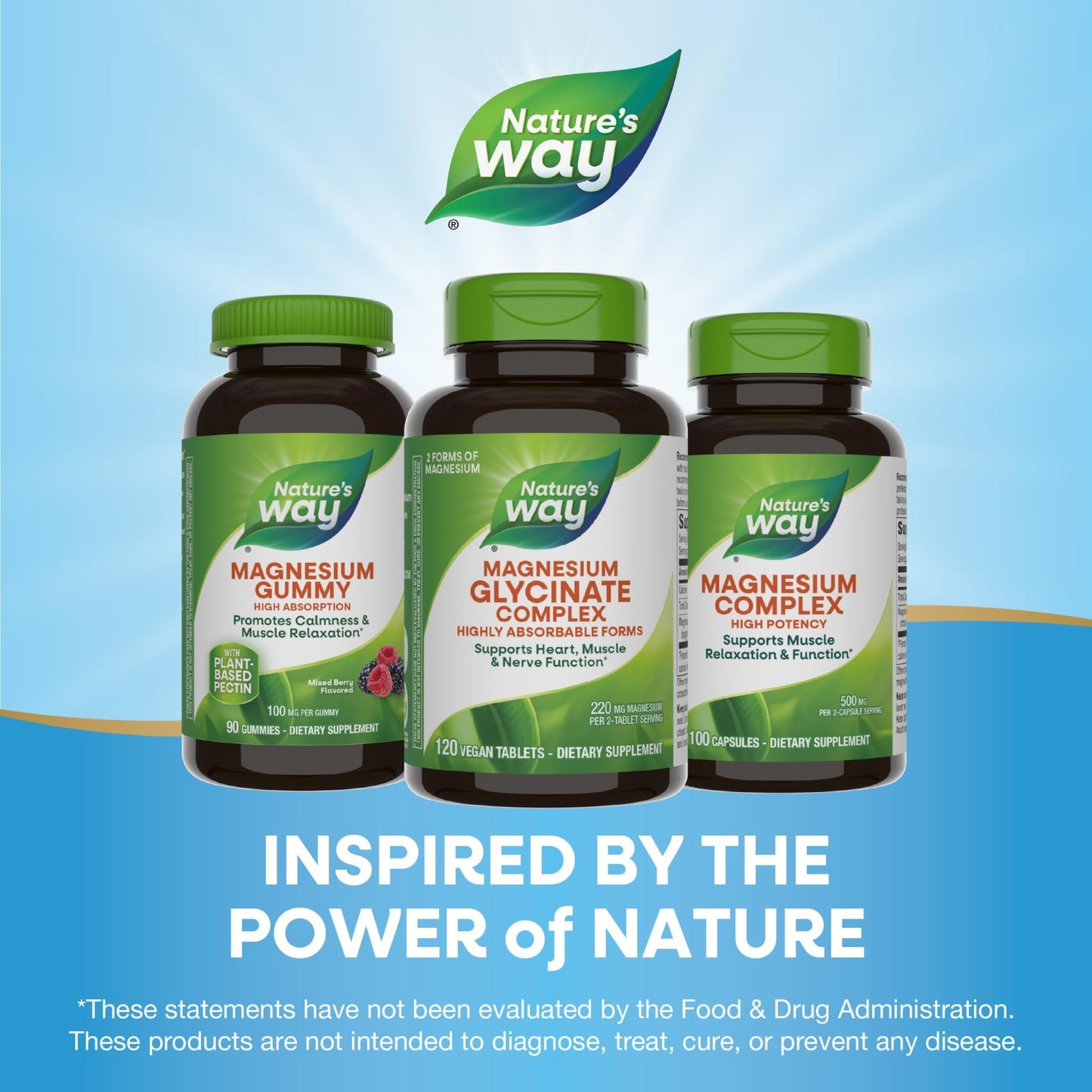 Nature's Way Magnesium Glycinate Complex, Supports Heart, Muscle, Nerve Function*, Highly Absorbable, 220 mg per 2-Tablet Serving, No Gluten, Vegan, 120 Tablets - dailyvitalstore