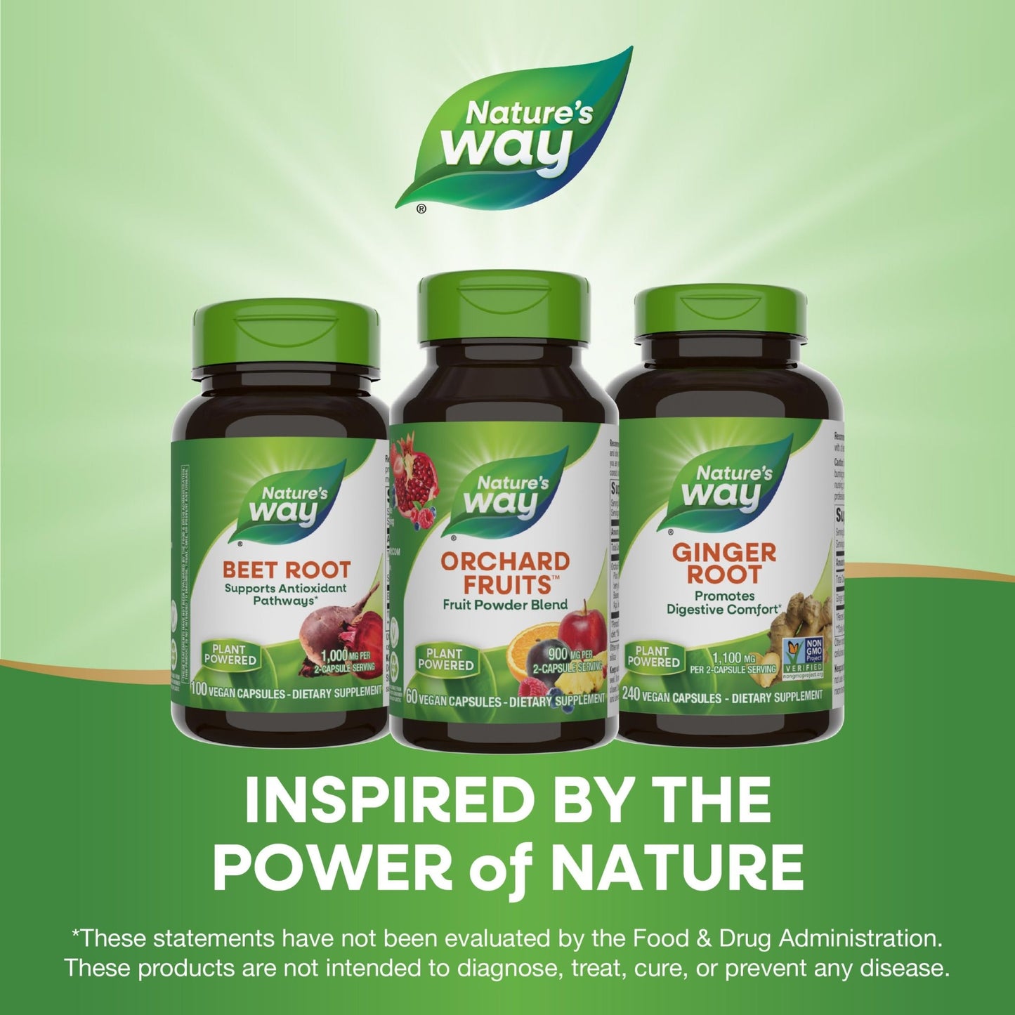 Nature's Way Orchard Fruits, Fruit Powder Blend, Contains 12 Different Fruits, 900mg Per 2-Capsule Serving, 60 Capsules - dailyvitalstore