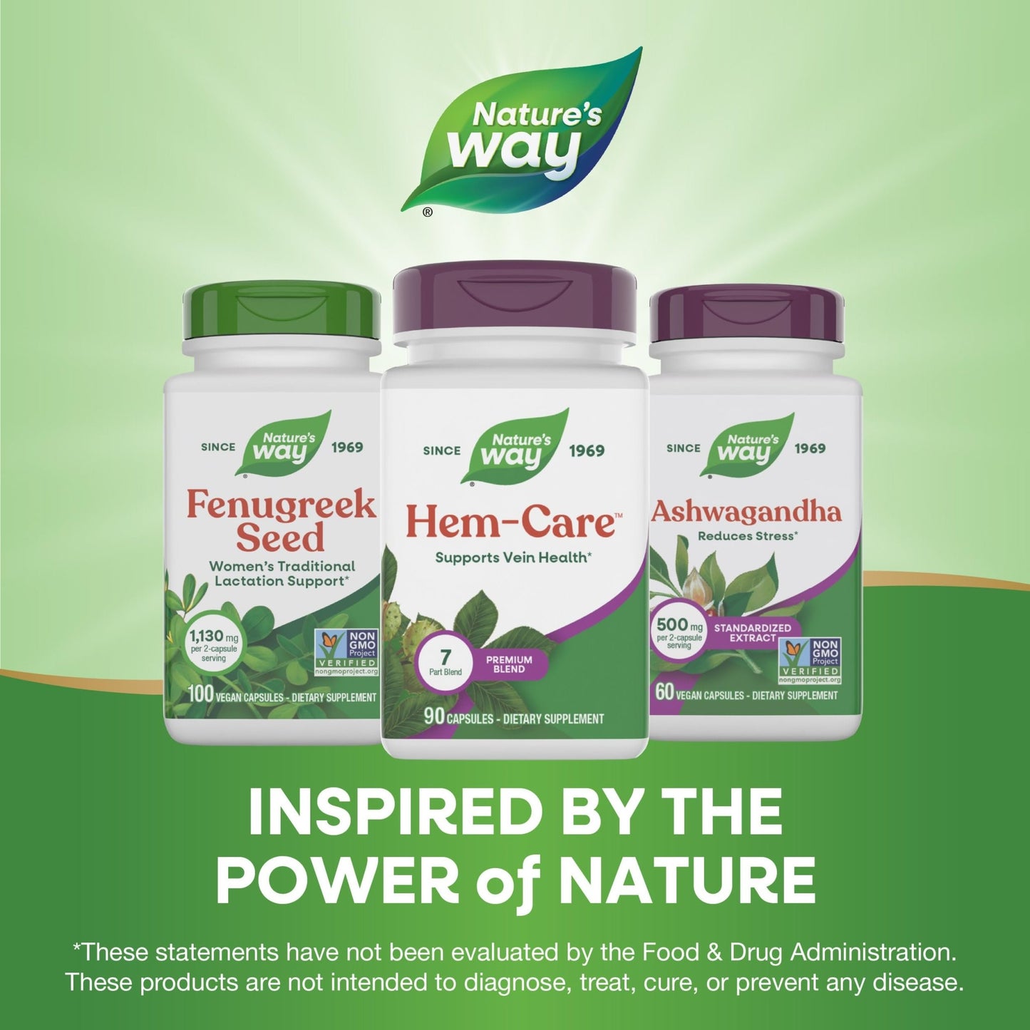 Nature's Way Premium Hem-Care, Unique Vein Health Blend*, 90 Capsules - dailyvitalstore