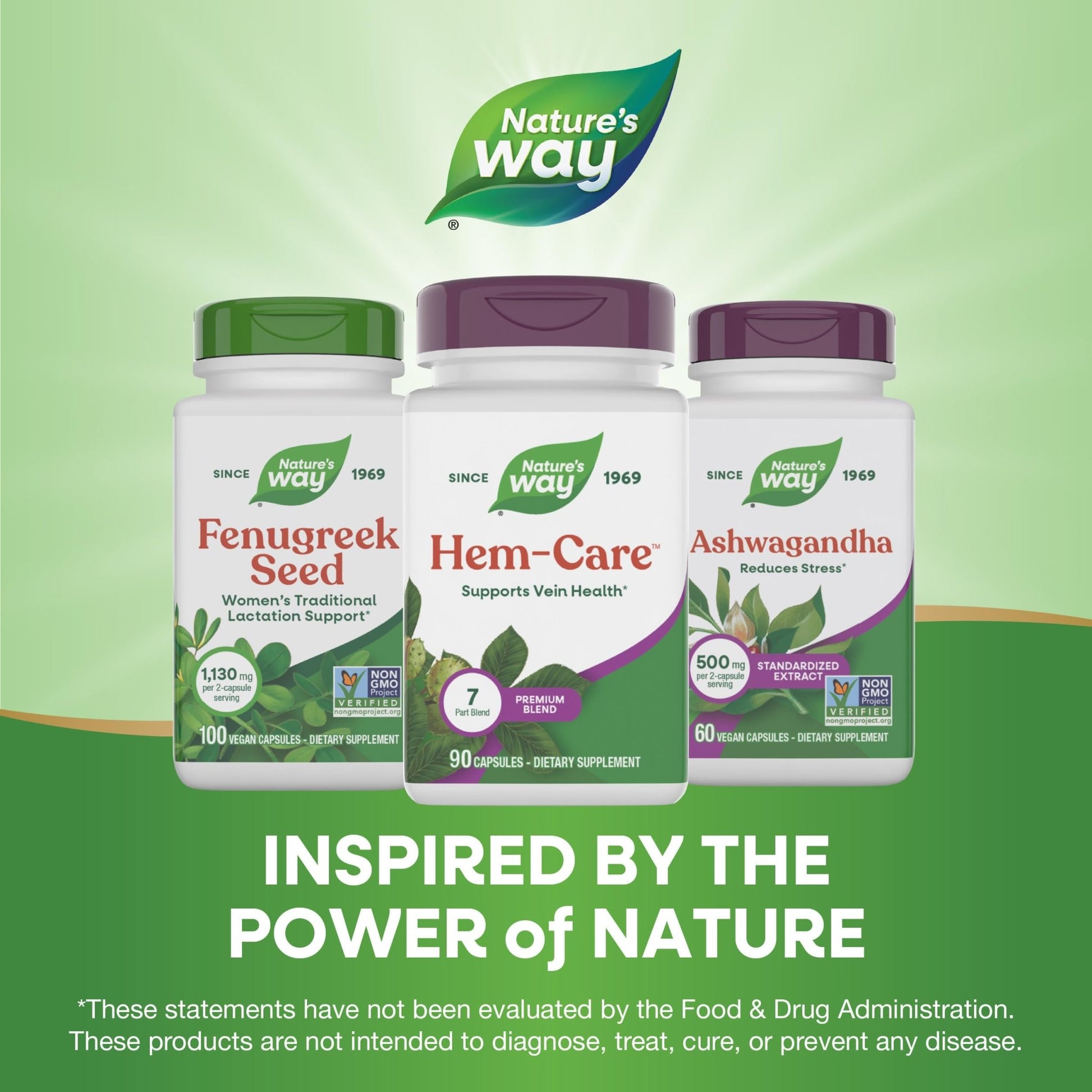 Nature's Way Premium Hem-Care, Unique Vein Health Blend*, 90 Capsules - dailyvitalstore
