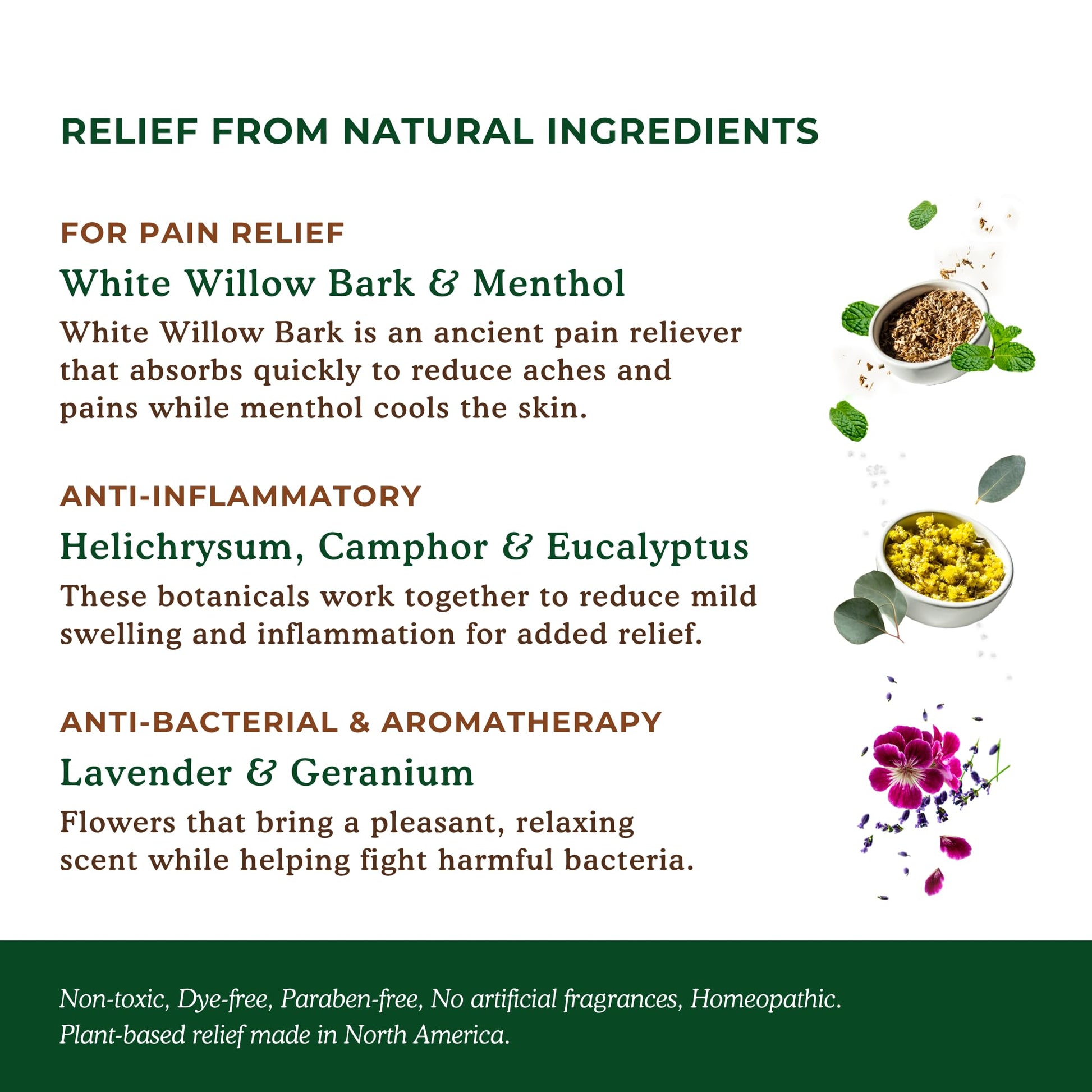 Nature's Willow Natural Pain Relief Patches for Muscles & Joints | Fast-Acting with White Willow Bark | Free from Artificial Fragrances & Dyes | 6 Patches per Pack (3-Pack) - dailyvitalstore