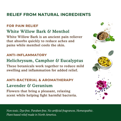 Nature's Willow Natural Pain Relief Patches for Muscles & Joints | Fast-Acting with White Willow Bark | Free from Artificial Fragrances & Dyes | 6 Patches per Pack (3-Pack) - dailyvitalstore