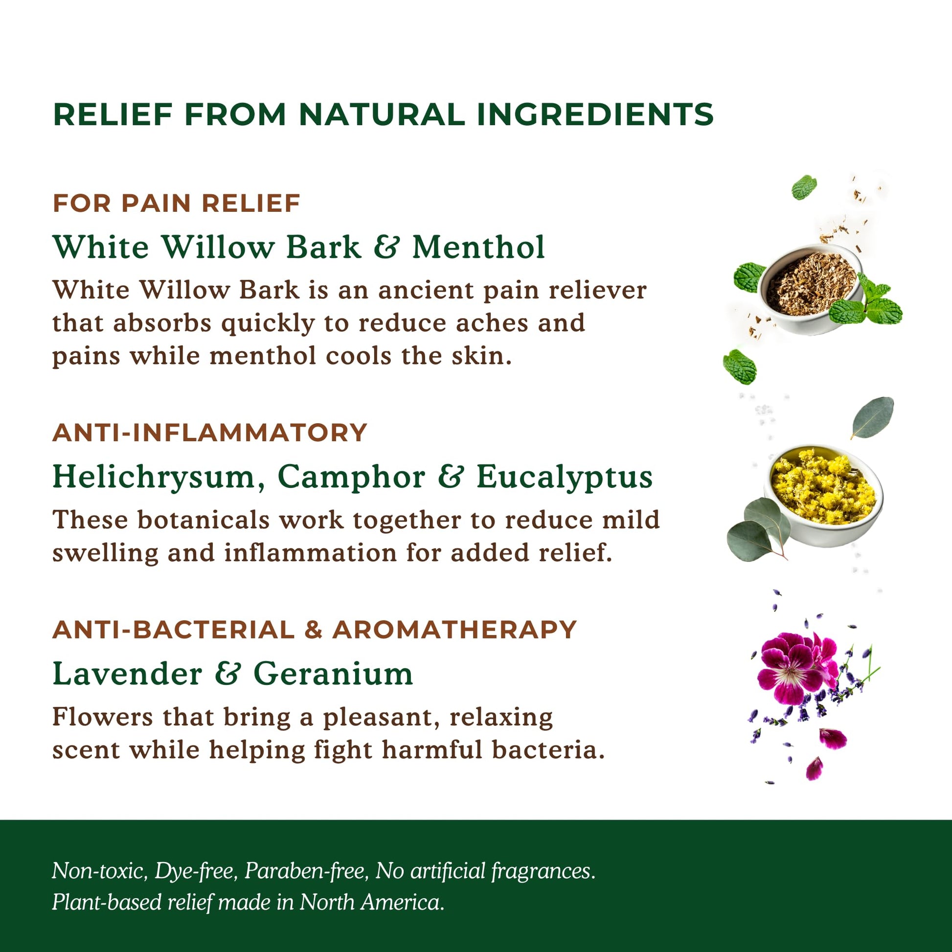 Nature's Willow Willow Balm Natural Pain Relief Cream for Muscles & Joints | Fast-Acting with Willow Bark & Menthol | Free from Artificial Fragrances & Dyes | 6-Pack | 3.5 fl oz - dailyvitalstore