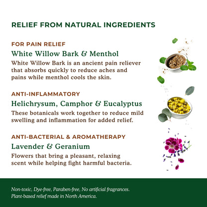 Nature's Willow Willow Balm Natural Pain Relief Cream for Muscles & Joints | Fast-Acting with Willow Bark & Menthol | Free from Artificial Fragrances & Dyes | 6-Pack | 3.5 fl oz - dailyvitalstore