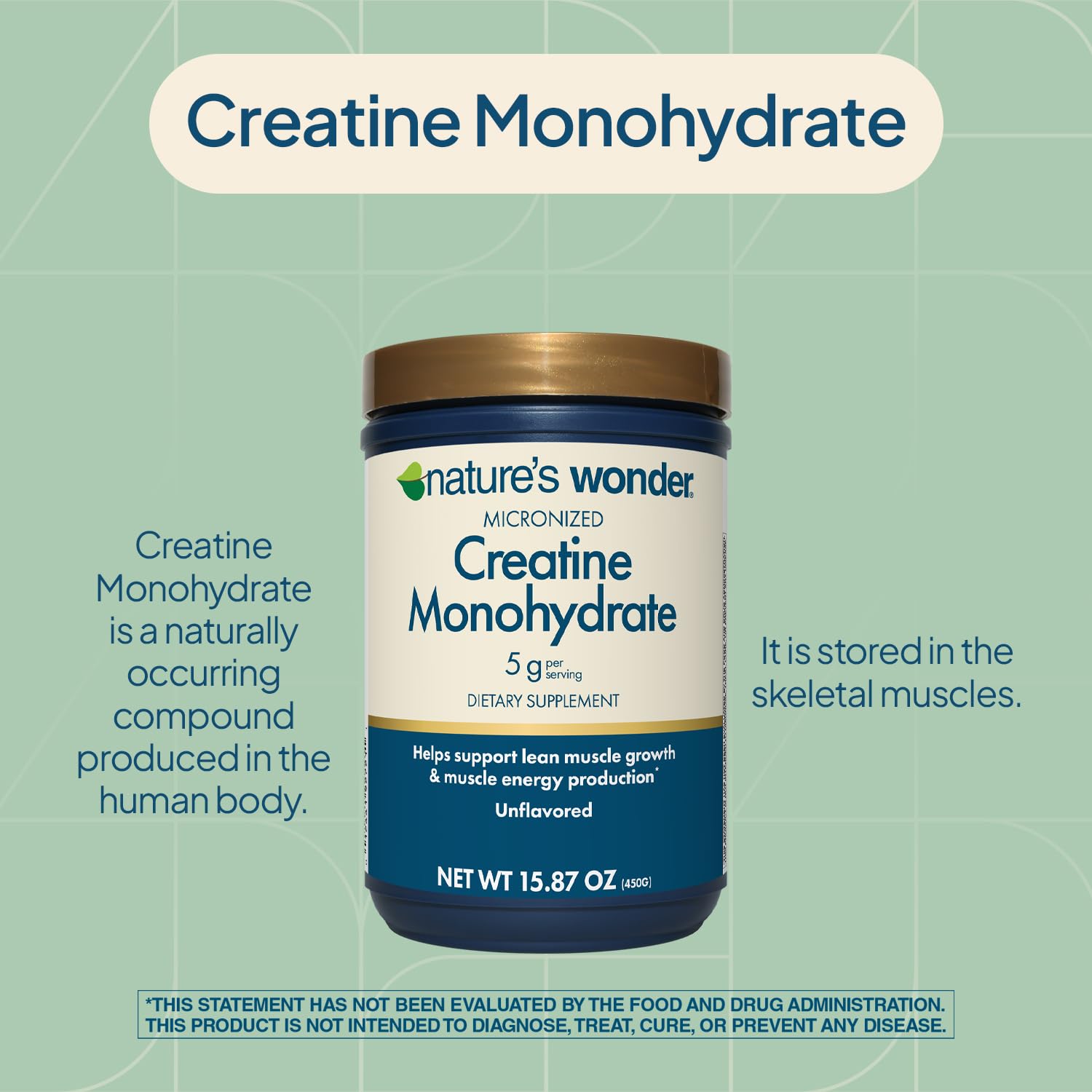 Nature's Wonder Micronized Creatine Monohydrate Powder 5g, Muscle Health, Muscle Energy Production, No Lactose, 5g of Micronized creatine Powder per Serving, 450G, 90 Servings - dailyvitalstore