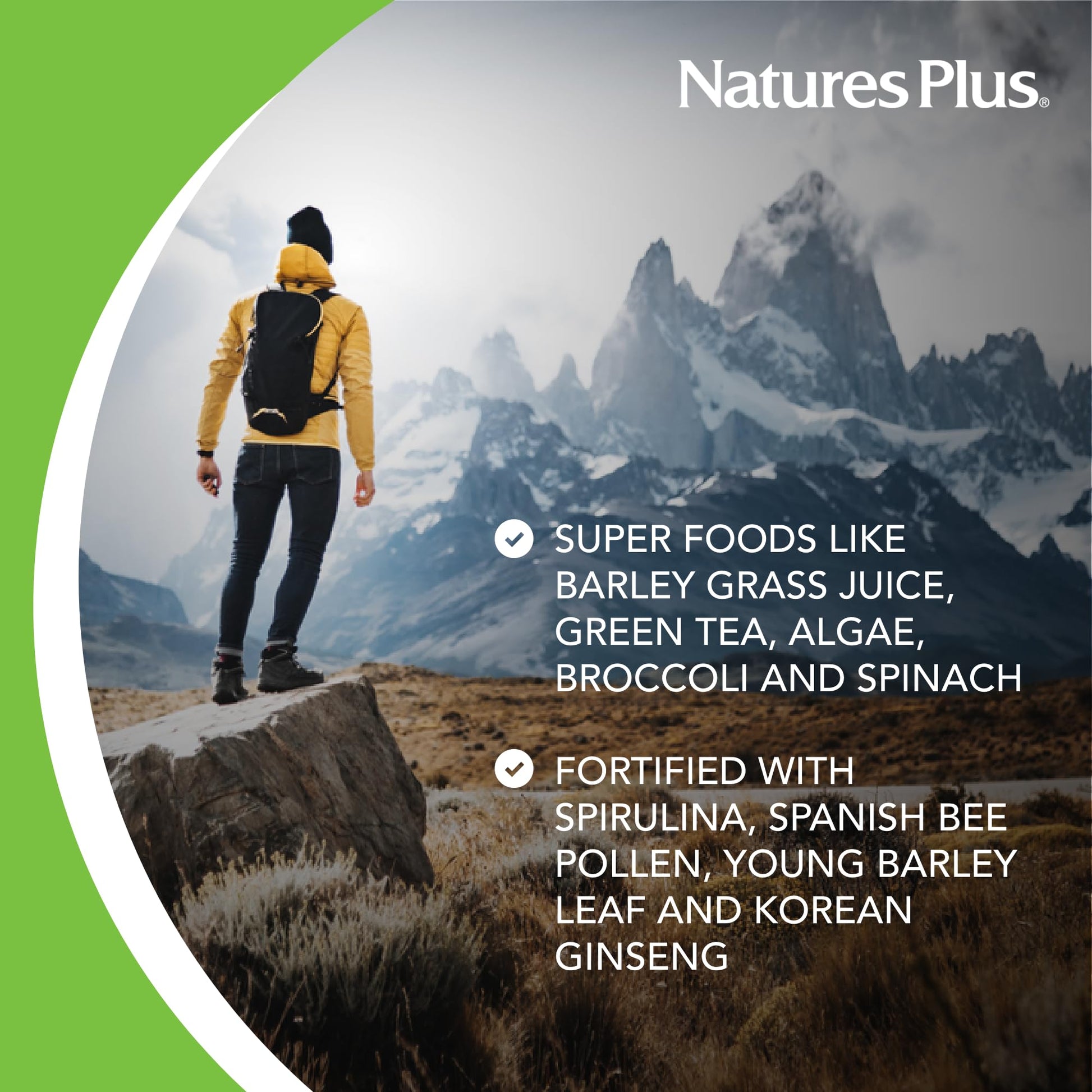 NaturesPlus FRUITEIN Revitalizing Green Foods Shake - 1.3 lbs - Plant-Based Protein (13g/Serving) - Supports Energy & Immune System - Vegetarian, Gluten Free & Non-GMO - 16 Servings - dailyvitalstore