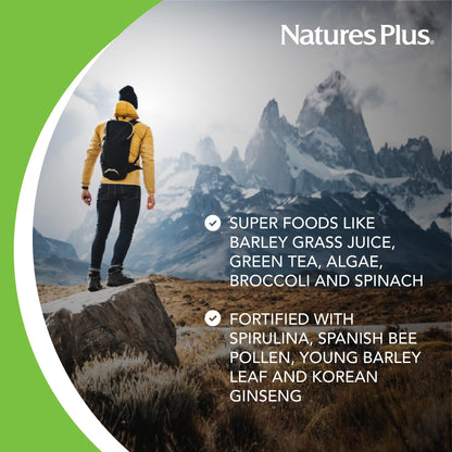 NaturesPlus FRUITEIN Revitalizing Green Foods Shake - 1.3 lbs - Plant-Based Protein (13g/Serving) - Supports Energy & Immune System - Vegetarian, Gluten Free & Non-GMO - 16 Servings - dailyvitalstore