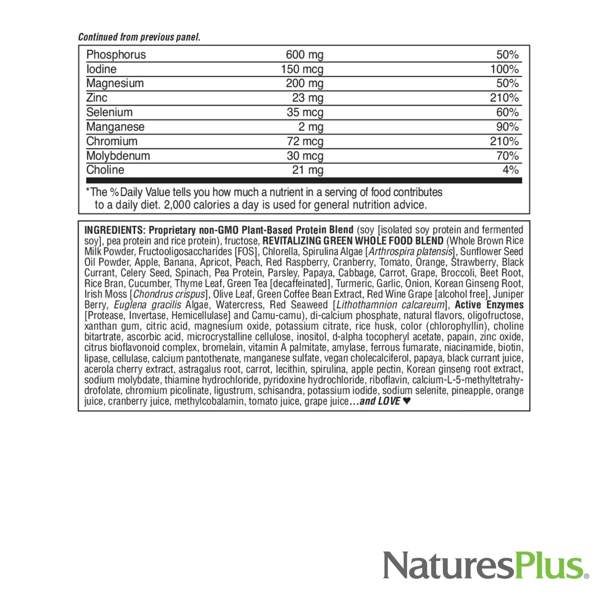NaturesPlus FRUITEIN Revitalizing Green Foods Shake - 1.3 lbs - Plant-Based Protein (13g/Serving) - Supports Energy & Immune System - Vegetarian, Gluten Free & Non-GMO - 16 Servings - dailyvitalstore
