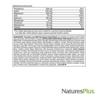 NaturesPlus FRUITEIN Revitalizing Green Foods Shake - 1.3 lbs - Plant-Based Protein (13g/Serving) - Supports Energy & Immune System - Vegetarian, Gluten Free & Non-GMO - 16 Servings - dailyvitalstore