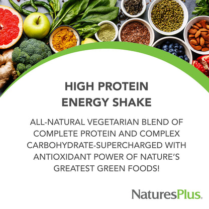 NaturesPlus FRUITEIN Revitalizing Green Foods Shake - 1.3 lbs - Plant-Based Protein (13g/Serving) - Supports Energy & Immune System - Vegetarian, Gluten Free & Non-GMO - 16 Servings - dailyvitalstore