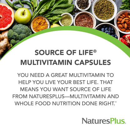 NaturesPlus Source of Life - 180 Capsules - Multivitamin & Mineral Supplement - Supports Natural Energy & Overall Well-Being - Gluten Free, Vegetarian - 20 Servings - dailyvitalstore