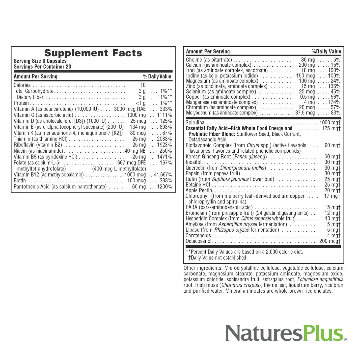 NaturesPlus Source of Life - 180 Capsules - Multivitamin & Mineral Supplement - Supports Natural Energy & Overall Well-Being - Gluten Free, Vegetarian - 20 Servings - dailyvitalstore