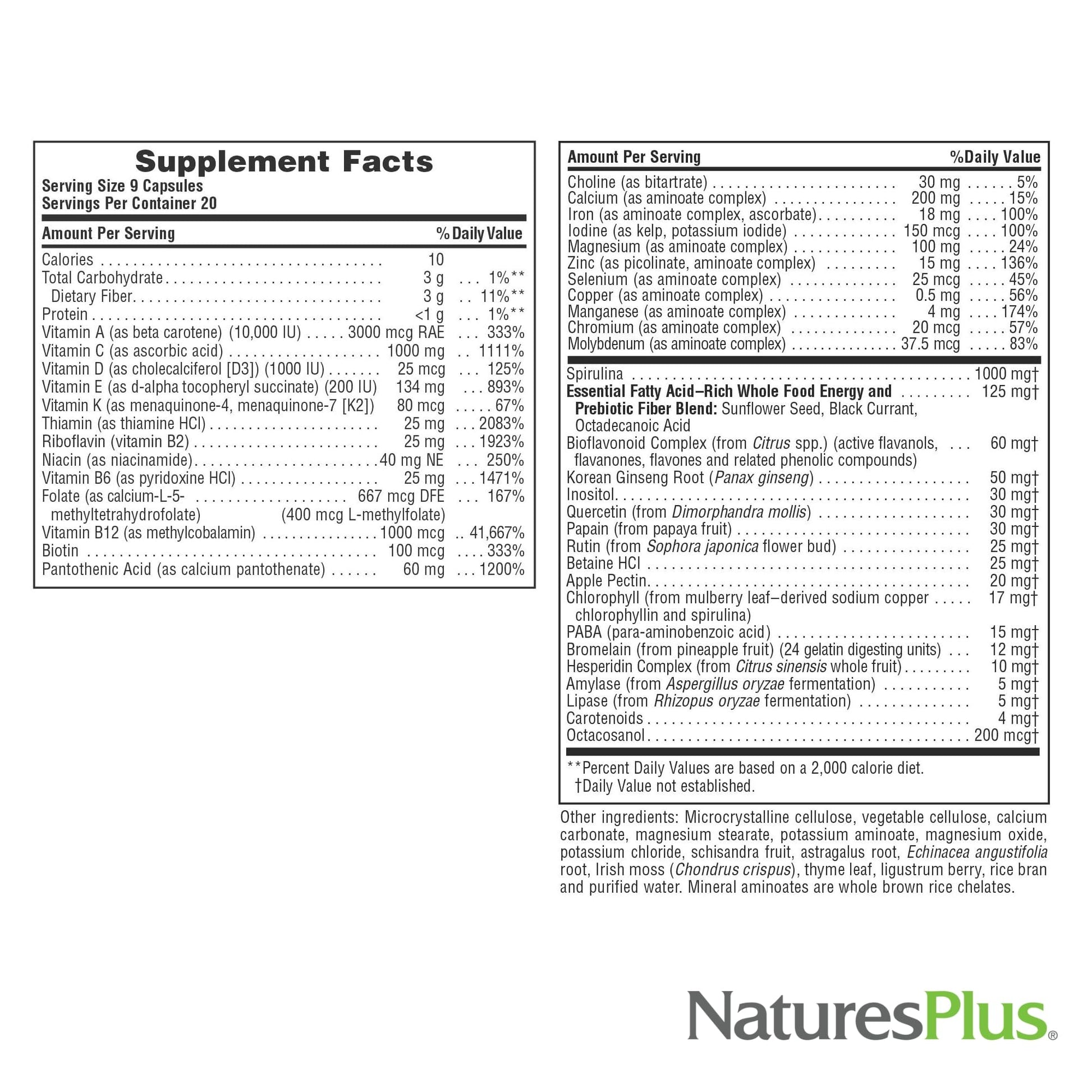 NaturesPlus Source of Life - 180 Capsules - Multivitamin & Mineral Supplement - Supports Natural Energy & Overall Well-Being - Gluten Free, Vegetarian - 20 Servings - dailyvitalstore