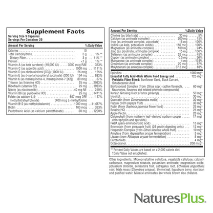 NaturesPlus Source of Life - 180 Capsules - Multivitamin & Mineral Supplement - Supports Natural Energy & Overall Well-Being - Gluten Free, Vegetarian - 20 Servings - dailyvitalstore