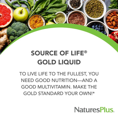 NaturesPlus Source of Life Gold Multivitamin Liquid - 30 oz - with Vitamins D3, B12 & K2 - Blood, Bone & Immune Support - Vegetarian & Gluten Free - 30 Servings - dailyvitalstore