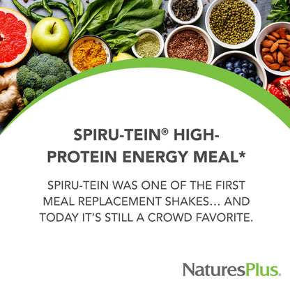 NaturesPlus SPIRU-TEIN, Chocolate - 1.05 lb - Plant-Based Protein Shake - Non-GMO, Vegetarian, Gluten Free - 17 Total Servings - dailyvitalstore