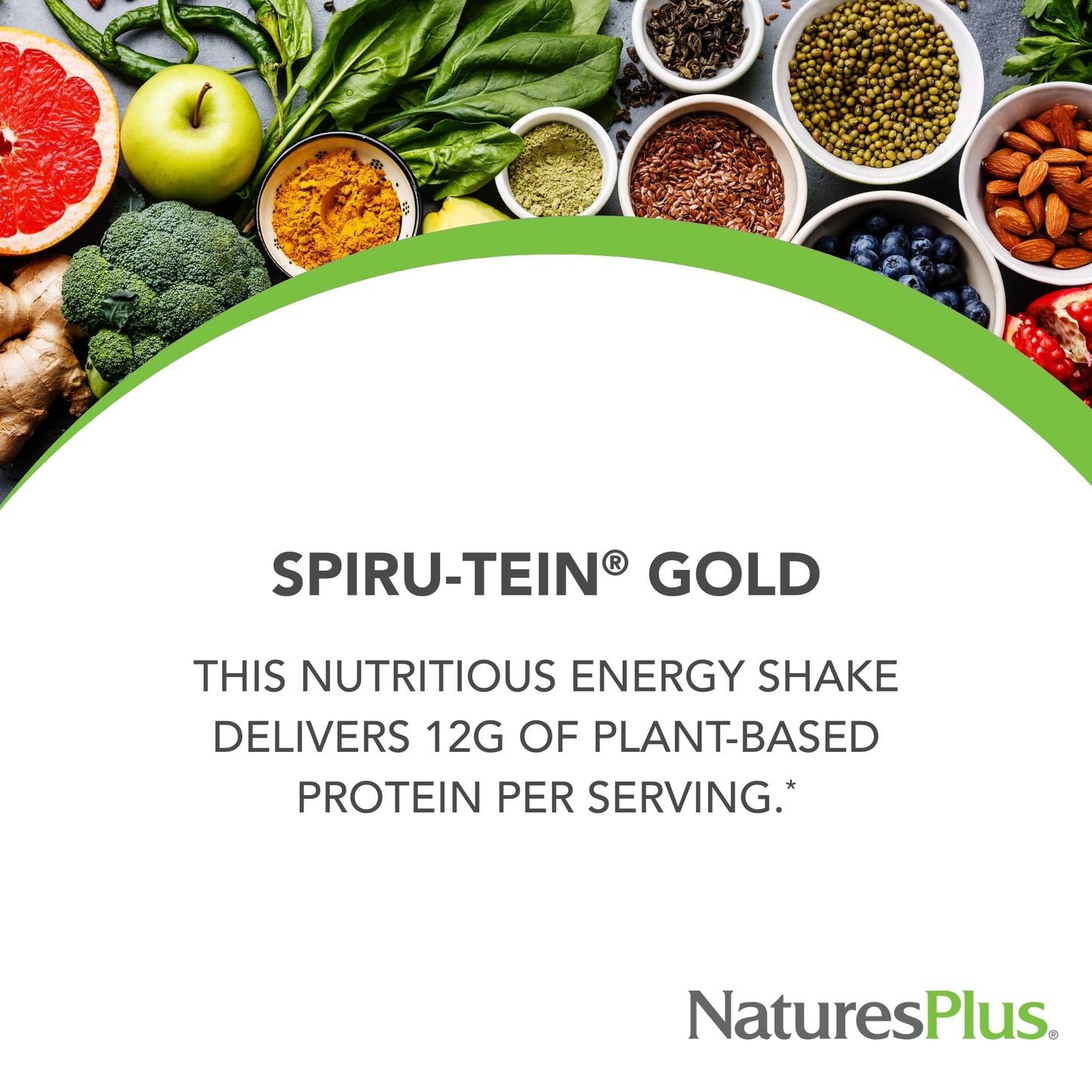 NaturesPlus SPIRU-TEIN GOLD, Vanilla - 1.03 lb - Plant-Based Protein Powder - Vitamins & Minerals for Energy - Vegetarian, Gluten Free - 13 Servings - dailyvitalstore