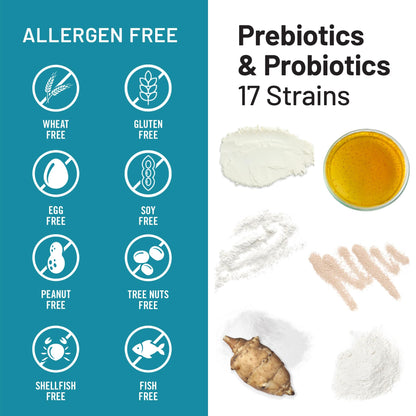 NatureWise Probiotics 60 Billion CFU - 17 Strains + Organic Prebiotics - Immune, Digestive & Gut Health Support for Women & Men - Vegetarian, Gluten-Free, - dailyvitalstore