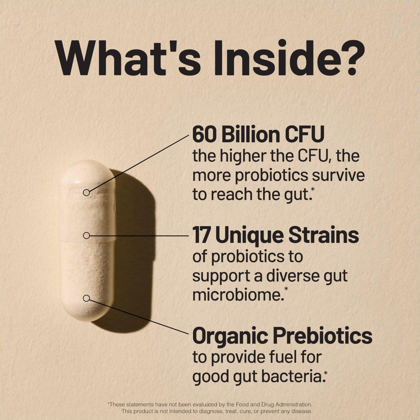 NatureWise Probiotics 60 Billion CFU - 17 Strains + Organic Prebiotics - Immune, Digestive & Gut Health Support for Women & Men - Vegetarian, Gluten-Free, - dailyvitalstore