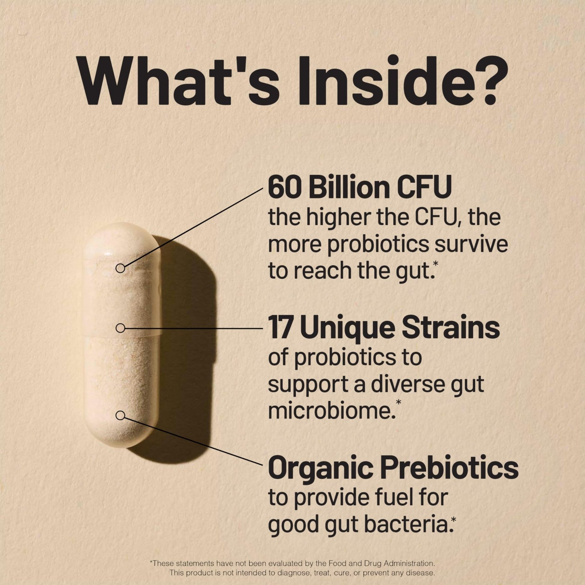 NatureWise Probiotics 60 Billion CFU - 17 Strains + Organic Prebiotics - Immune, Digestive & Gut Health Support for Women & Men - Vegetarian, Gluten-Free, - dailyvitalstore