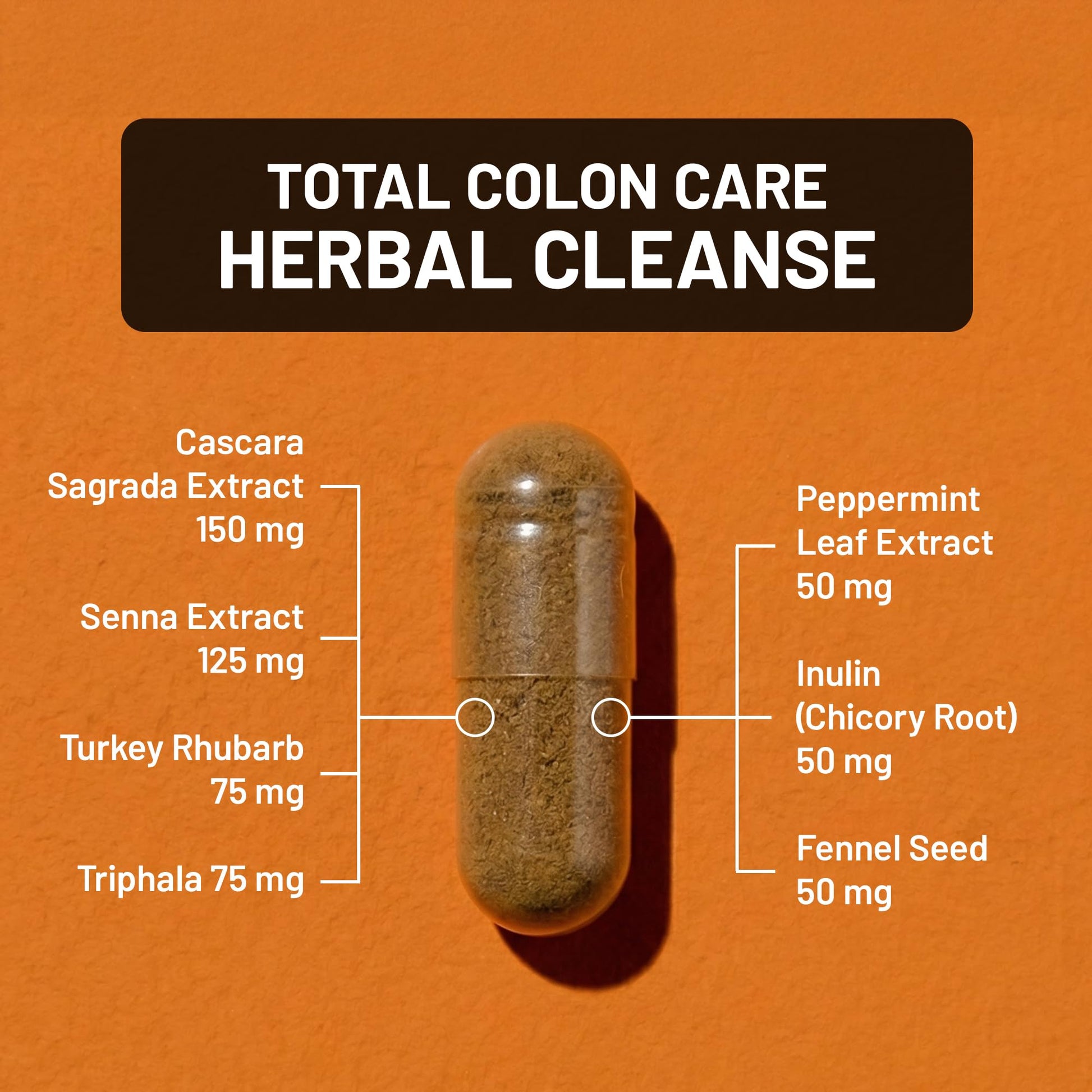 Naturewise Total Colon Care Herbal Cleanse - With Prebiotics, Botanicals, & Antioxidants - for Regular Bowel Movement, Digestion, Gut Health - Vegan, Gluten-Free - dailyvitalstore