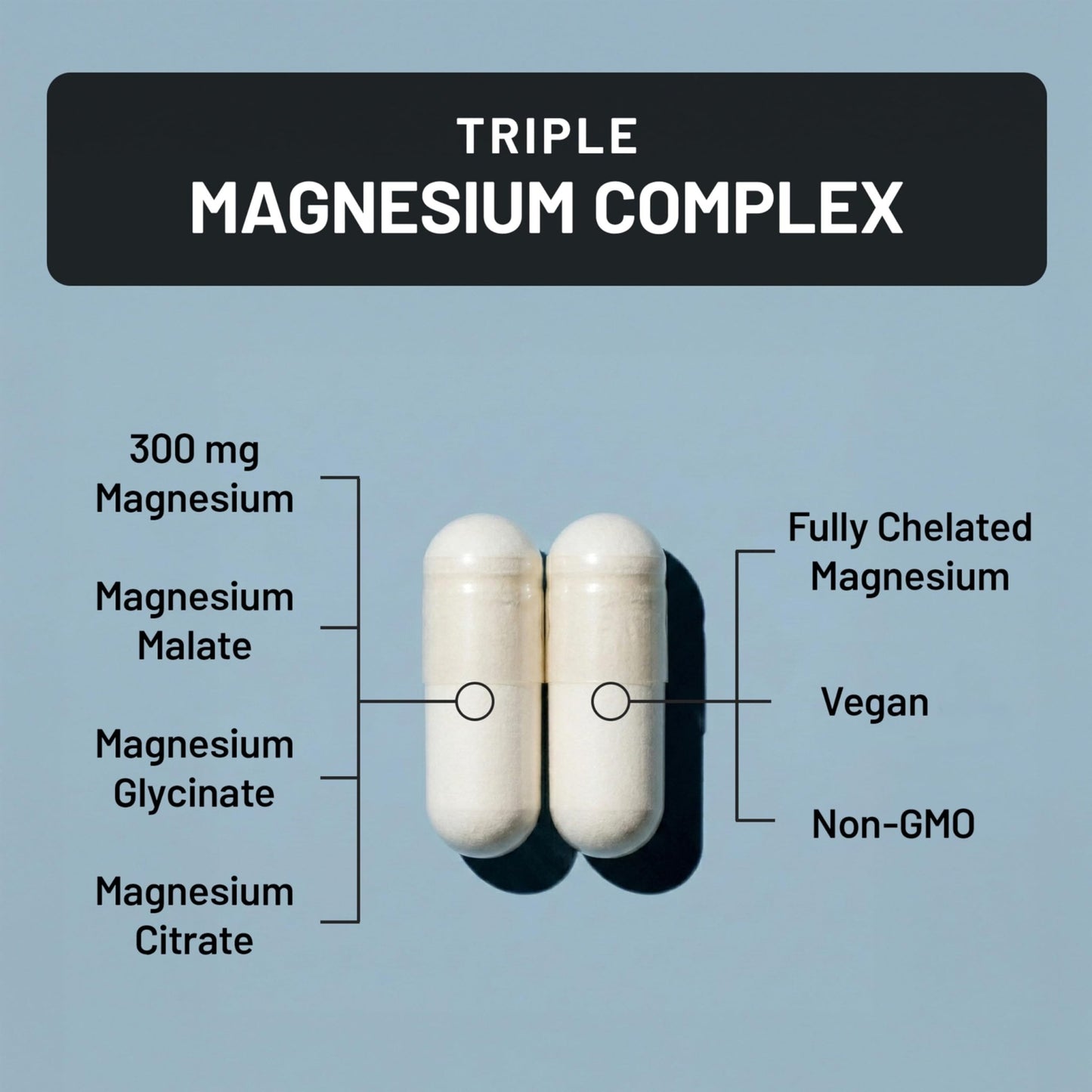 NatureWise Triple Magnesium Complex - High Absorption Magnesium Glycinate + Malate + Citrate for Muscle Nerve & Sleep Support - Vegan 90 Capsules - dailyvitalstore