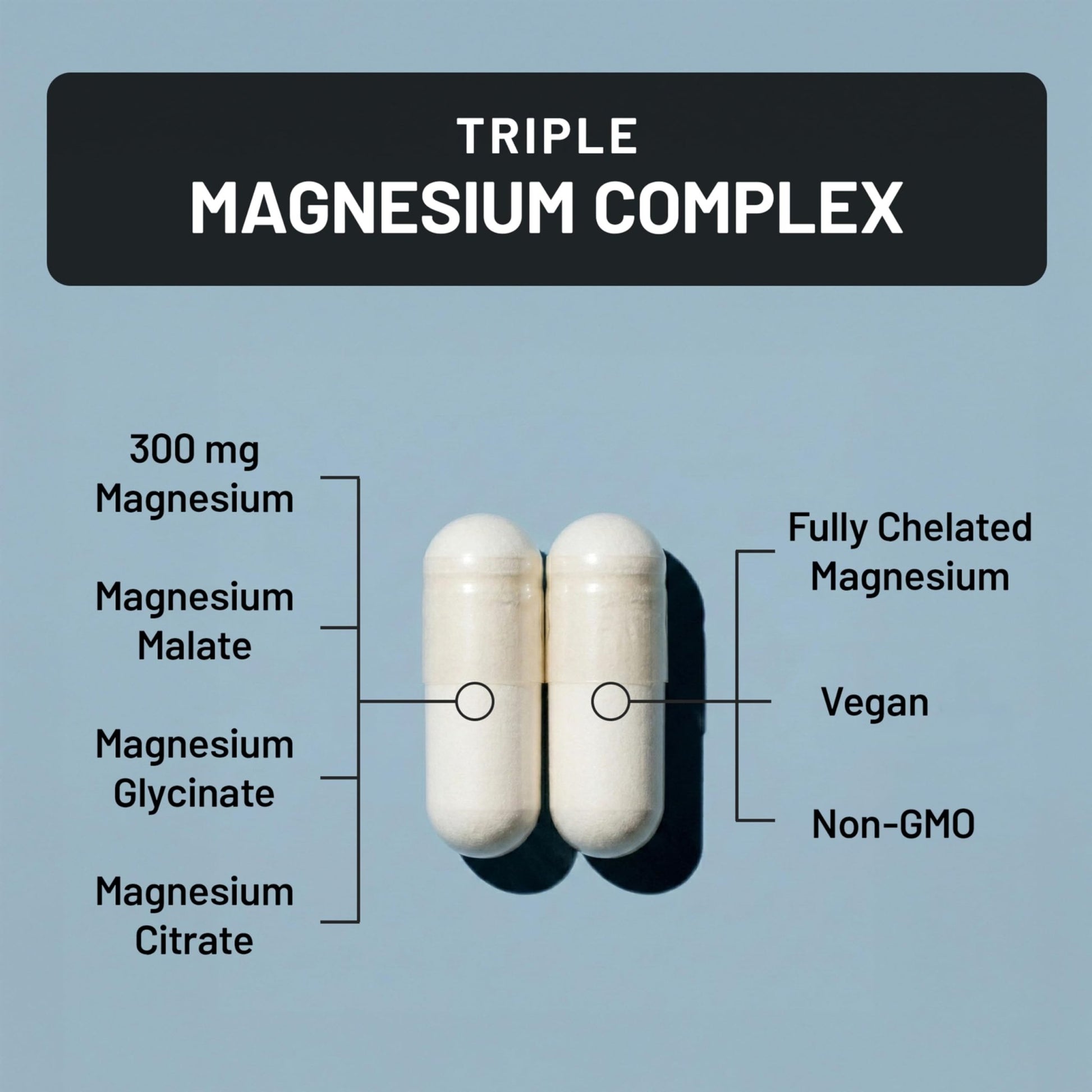 NatureWise Triple Magnesium Complex - High Absorption Magnesium Glycinate + Malate + Citrate for Muscle Nerve & Sleep Support - Vegan 90 Capsules - dailyvitalstore