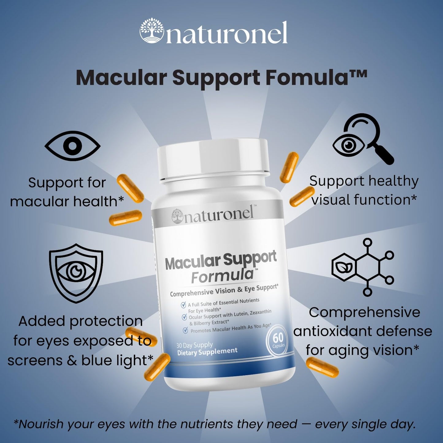 Naturonel Macular Support Formula – Vision & Eye Health with Lutein, Zeaxanthin, Bilberry, Eyebright & Antioxidants | Non-GMO, Made in USA, GMP Certified – 60 Capsules, 30 Day Supply (1) - dailyvitalstore