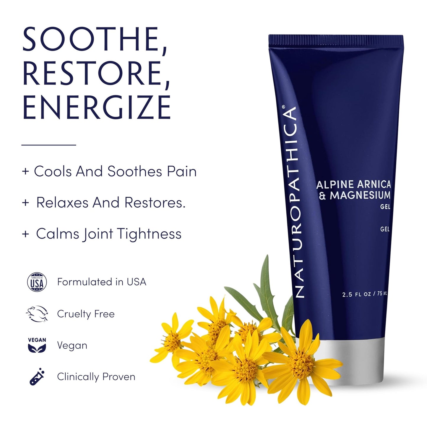 Naturopathica Alpine Arnica & Magnesium Gel, Cooling Massage Gel with Menthol for Muscle Discomfort and Relaxation, 2.5 fl oz - dailyvitalstore