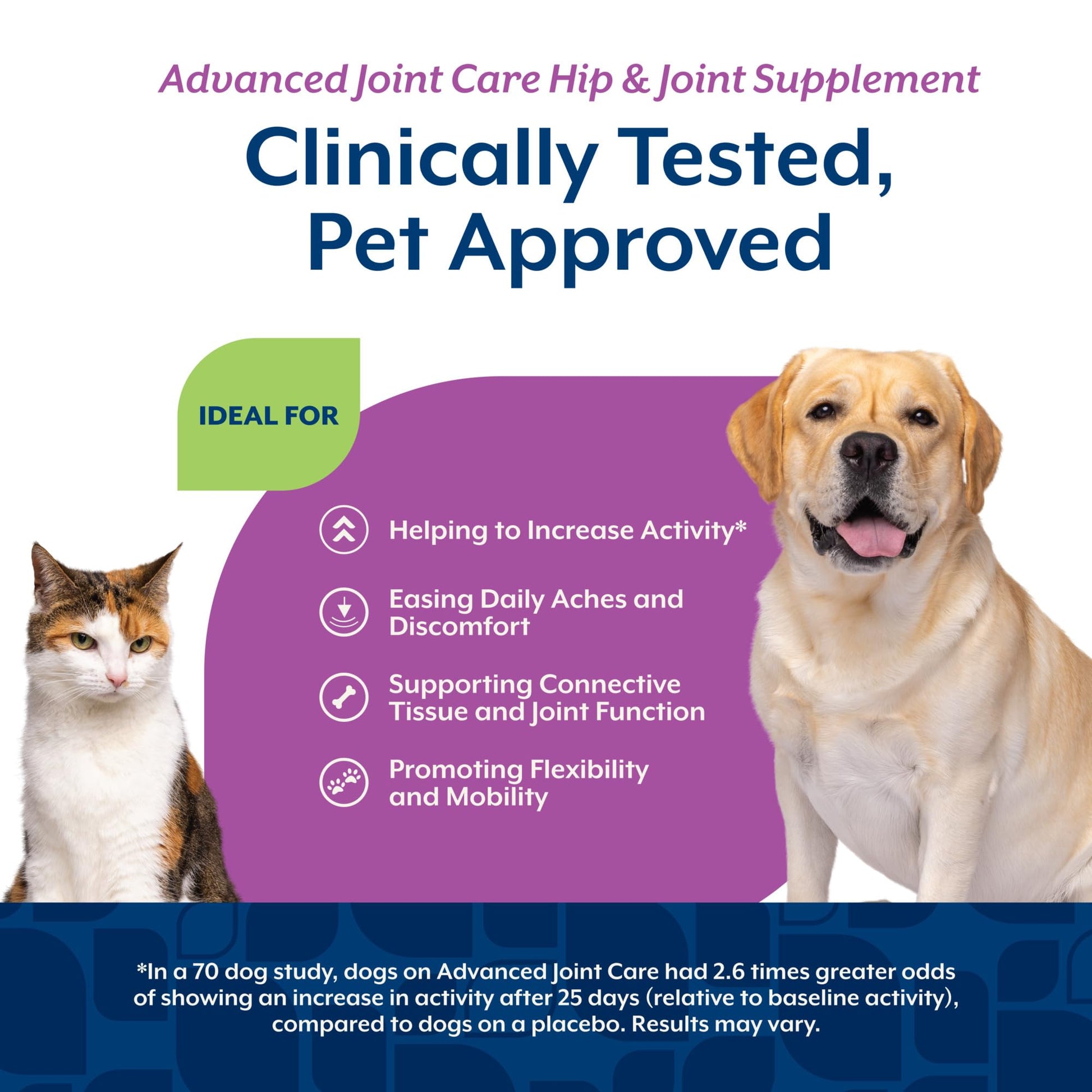 NaturVet ArthriSoothe-Gold Level 3 Advanced Joint Care for Dogs – Soft Chew Dog Supplement with Glucosamine, MSM, Chondroitin & Hyaluronic Acid – Wheat-Free Pet Supplements – 180 Ct. - dailyvitalstore