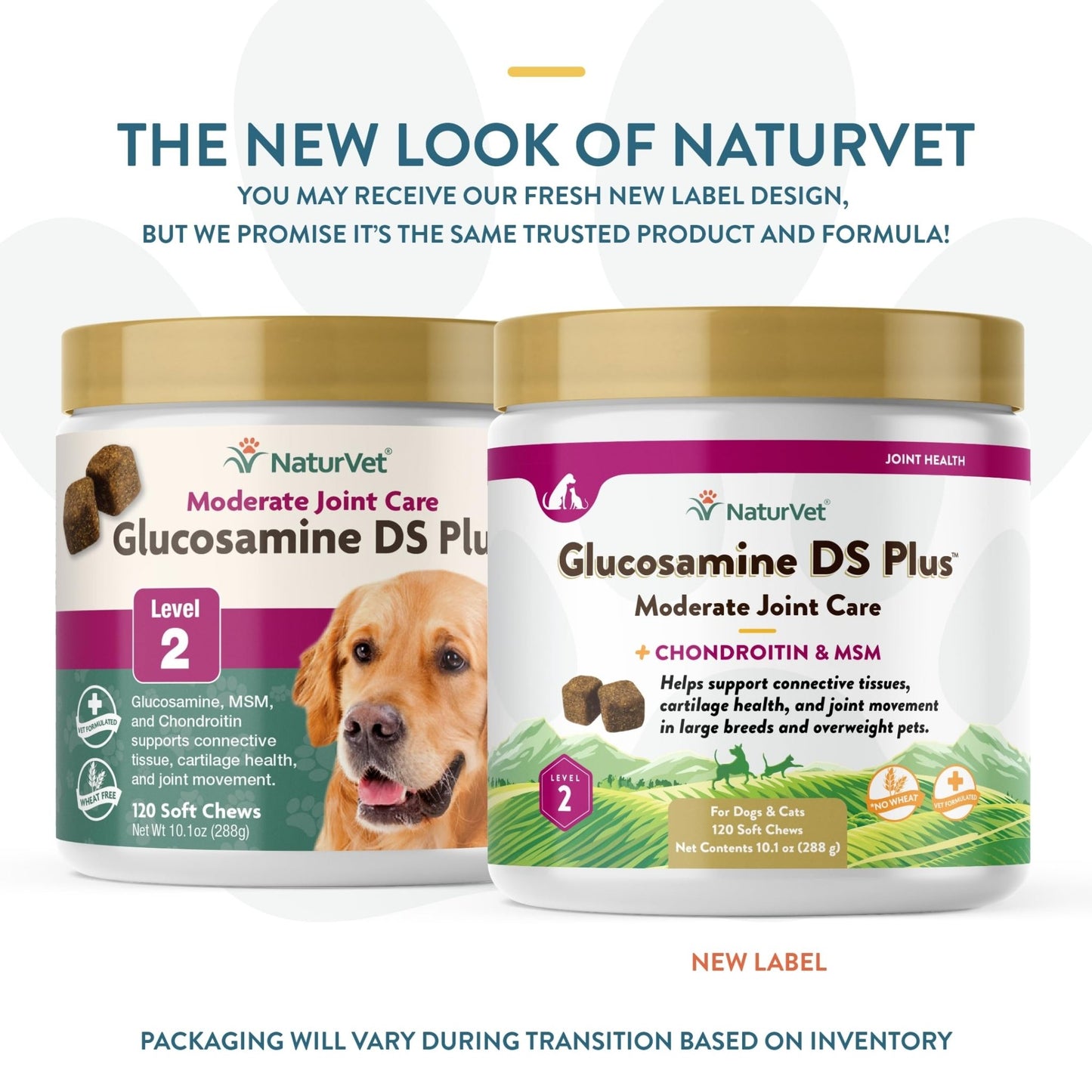 NaturVet – Glucosamine DS Plus - Level 2 Moderate Care – Supports Healthy Hip & Joint Function – Enhanced with Glucosamine, MSM & Chondroitin – for Dogs & Cats–120 Soft Chews - dailyvitalstore