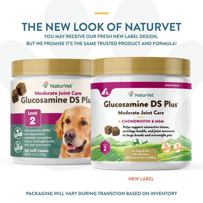 NaturVet – Glucosamine DS Plus - Level 2 Moderate Care – Supports Healthy Hip & Joint Function – Enhanced with Glucosamine, MSM & Chondroitin – for Dogs & Cats–120 Soft Chews - dailyvitalstore