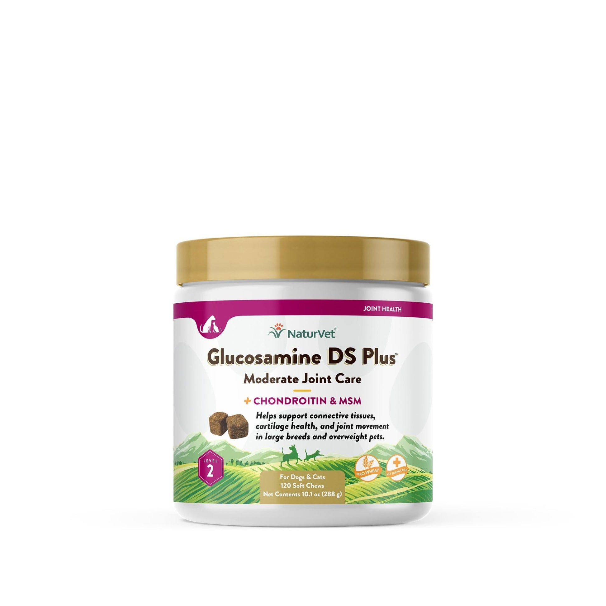 NaturVet – Glucosamine DS Plus - Level 2 Moderate Care – Supports Healthy Hip & Joint Function – Enhanced with Glucosamine, MSM & Chondroitin – for Dogs & Cats–120 Soft Chews - dailyvitalstore