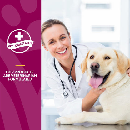 NaturVet – Glucosamine DS Plus - Level 2 Moderate Care – Supports Healthy Hip & Joint Function – Enhanced with Glucosamine, MSM & Chondroitin – for Dogs & Cats–120 Soft Chews - dailyvitalstore