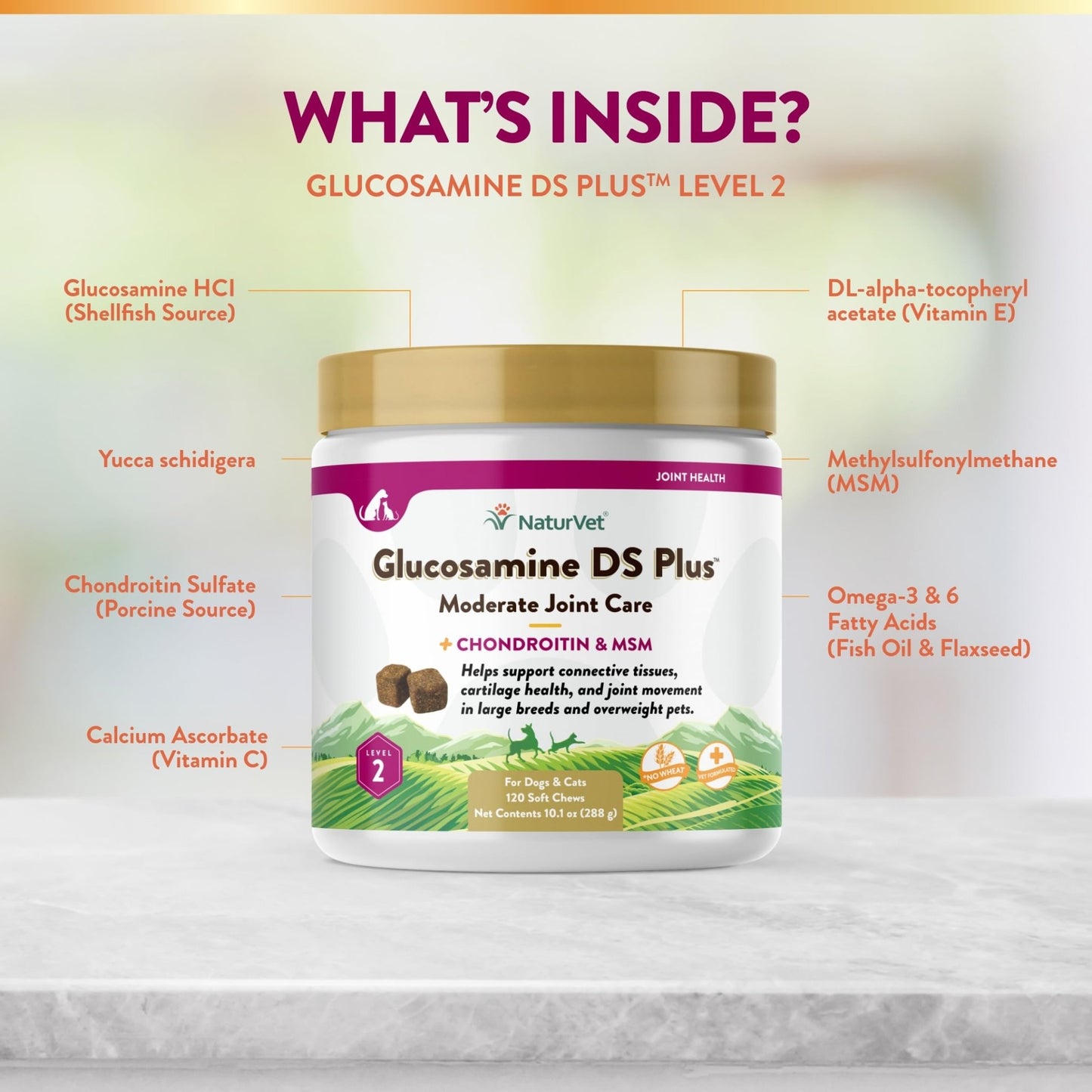 NaturVet – Glucosamine DS Plus - Level 2 Moderate Care – Supports Healthy Hip & Joint Function – Enhanced with Glucosamine, MSM & Chondroitin – for Dogs & Cats–120 Soft Chews - dailyvitalstore