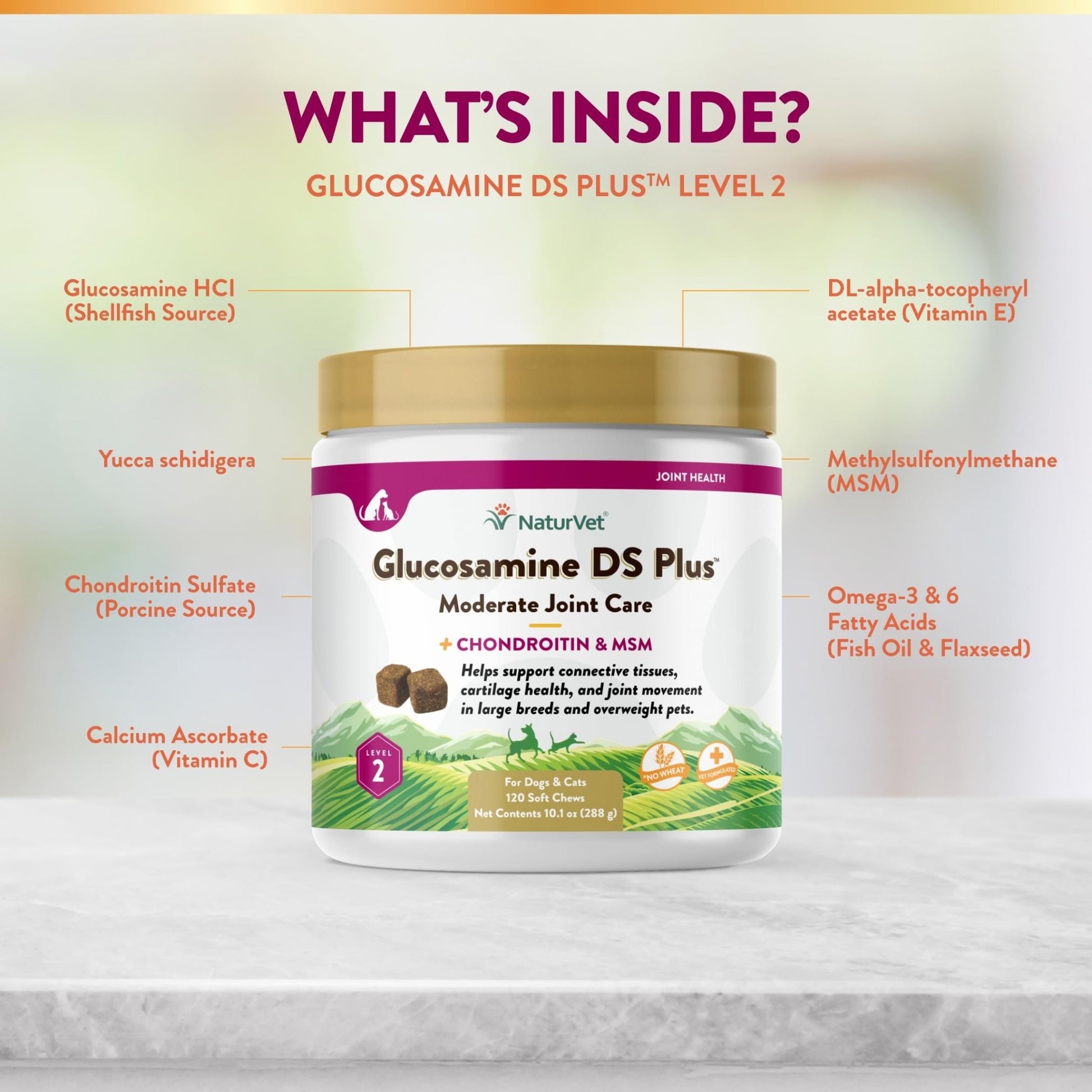 NaturVet – Glucosamine DS Plus - Level 2 Moderate Care – Supports Healthy Hip & Joint Function – Enhanced with Glucosamine, MSM & Chondroitin – for Dogs & Cats–120 Soft Chews - dailyvitalstore