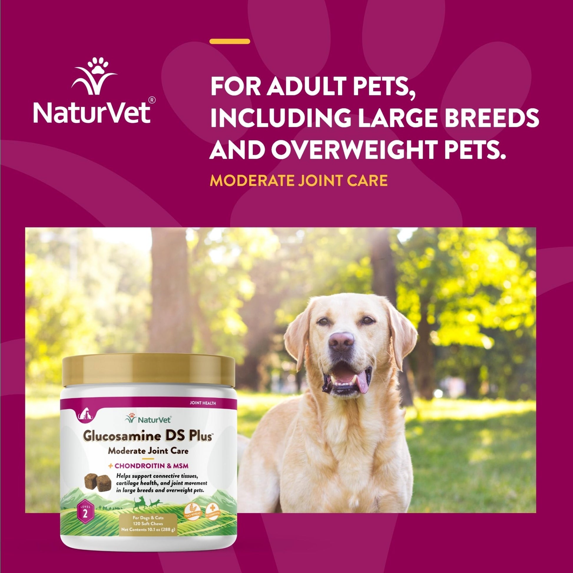 NaturVet – Glucosamine DS Plus - Level 2 Moderate Care – Supports Healthy Hip & Joint Function – Enhanced with Glucosamine, MSM & Chondroitin – for Dogs & Cats–120 Soft Chews - dailyvitalstore