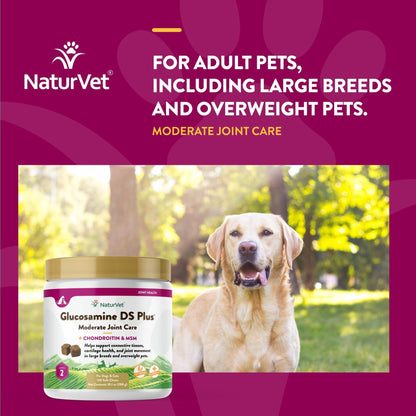 NaturVet – Glucosamine DS Plus - Level 2 Moderate Care – Supports Healthy Hip & Joint Function – Enhanced with Glucosamine, MSM & Chondroitin – for Dogs & Cats–120 Soft Chews - dailyvitalstore