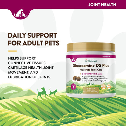 NaturVet – Glucosamine DS Plus - Level 2 Moderate Care – Supports Healthy Hip & Joint Function – Enhanced with Glucosamine, MSM & Chondroitin – for Dogs & Cats–120 Soft Chews - dailyvitalstore