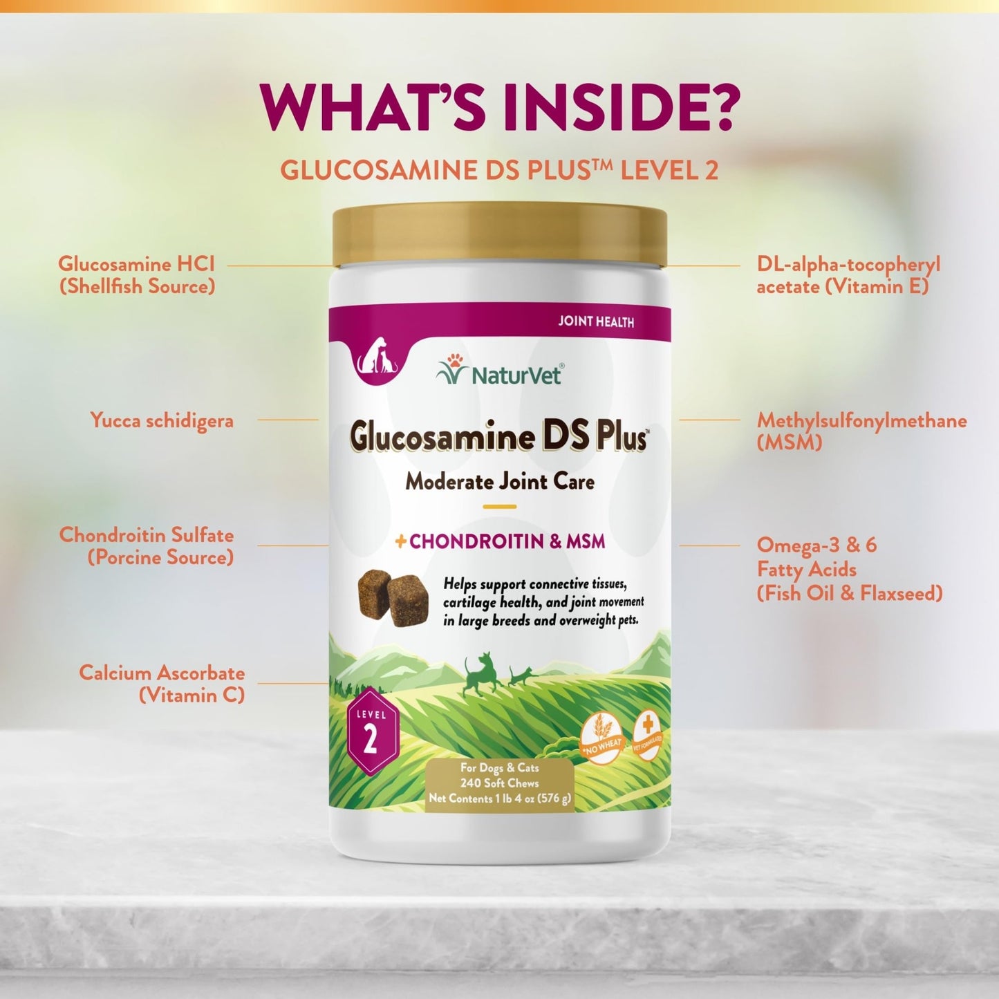 NaturVet – Glucosamine DS Plus - Level 2 Moderate Care – Supports Healthy Hip & Joint Function – Enhanced with Glucosamine, MSM & Chondroitin – for Dogs & Cats – 240 Soft Chews - dailyvitalstore