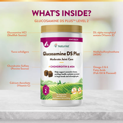 NaturVet – Glucosamine DS Plus - Level 2 Moderate Care – Supports Healthy Hip & Joint Function – Enhanced with Glucosamine, MSM & Chondroitin – for Dogs & Cats – 240 Soft Chews - dailyvitalstore