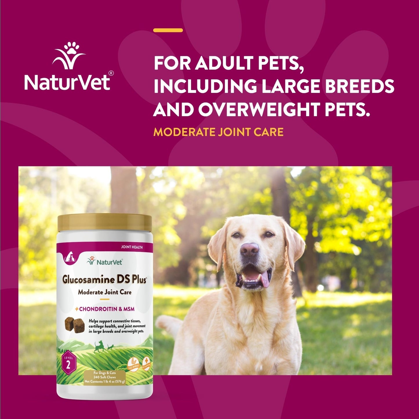 NaturVet – Glucosamine DS Plus - Level 2 Moderate Care – Supports Healthy Hip & Joint Function – Enhanced with Glucosamine, MSM & Chondroitin – for Dogs & Cats – 240 Soft Chews - dailyvitalstore
