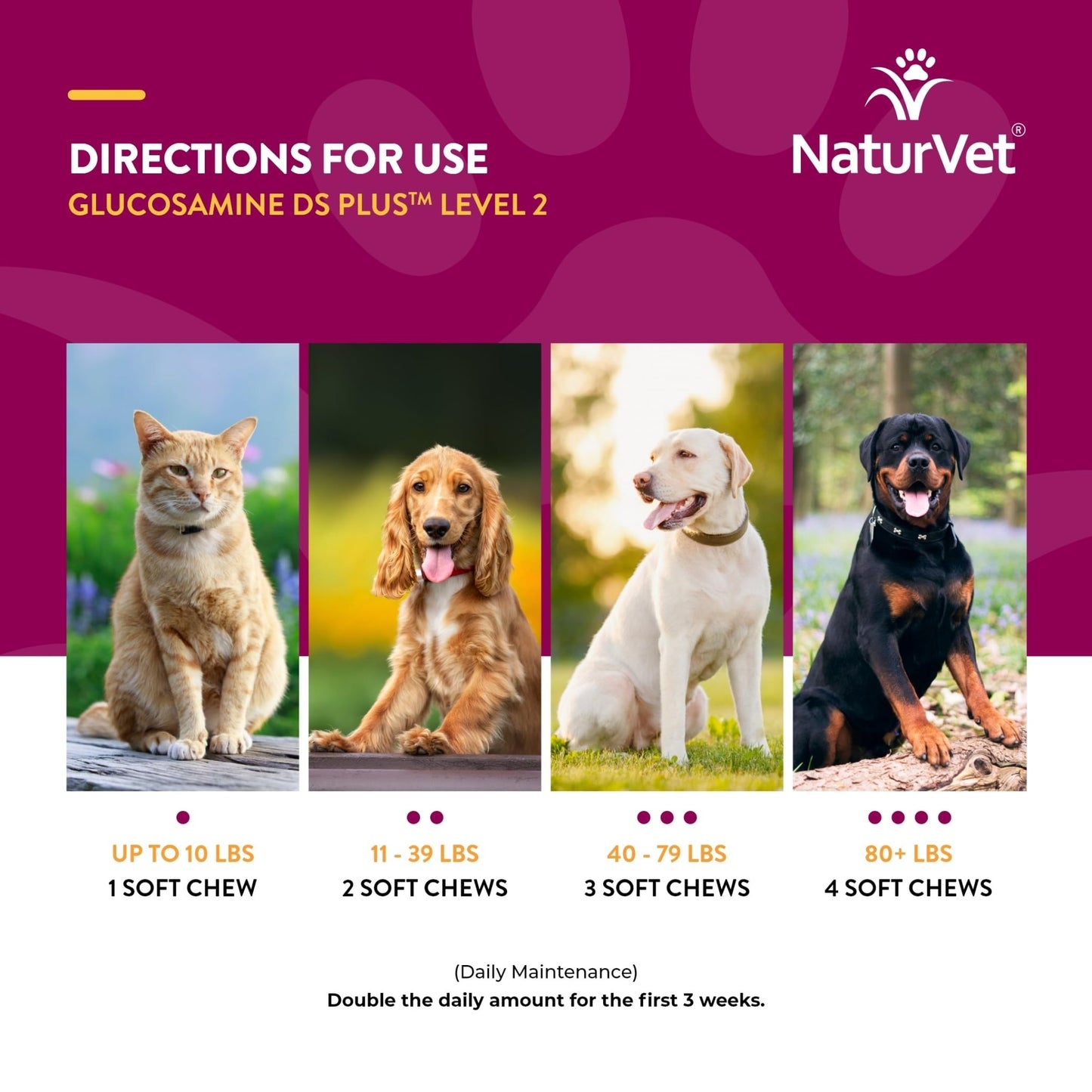 NaturVet – Glucosamine DS Plus - Level 2 Moderate Care – Supports Healthy Hip & Joint Function – Enhanced with Glucosamine, MSM & Chondroitin – for Dogs & Cats – 240 Soft Chews - dailyvitalstore