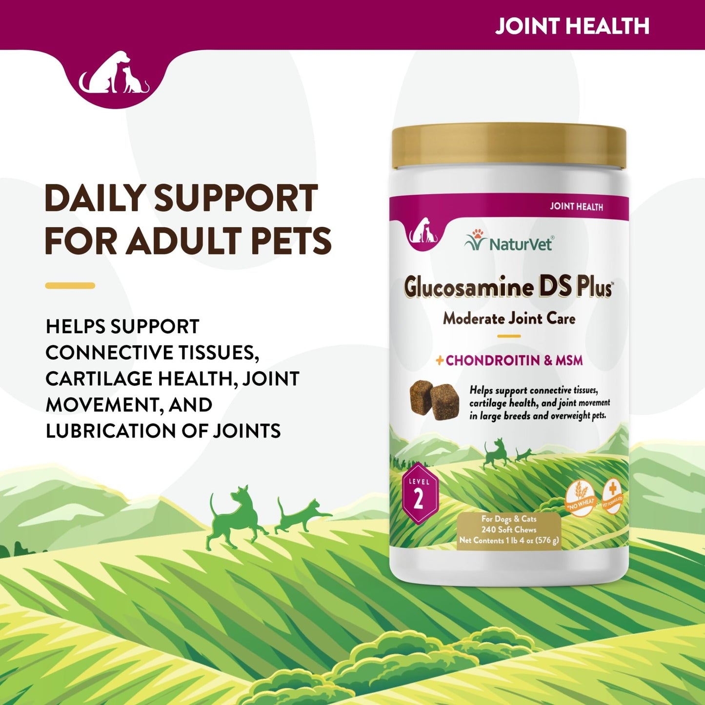 NaturVet – Glucosamine DS Plus - Level 2 Moderate Care – Supports Healthy Hip & Joint Function – Enhanced with Glucosamine, MSM & Chondroitin – for Dogs & Cats – 240 Soft Chews - dailyvitalstore