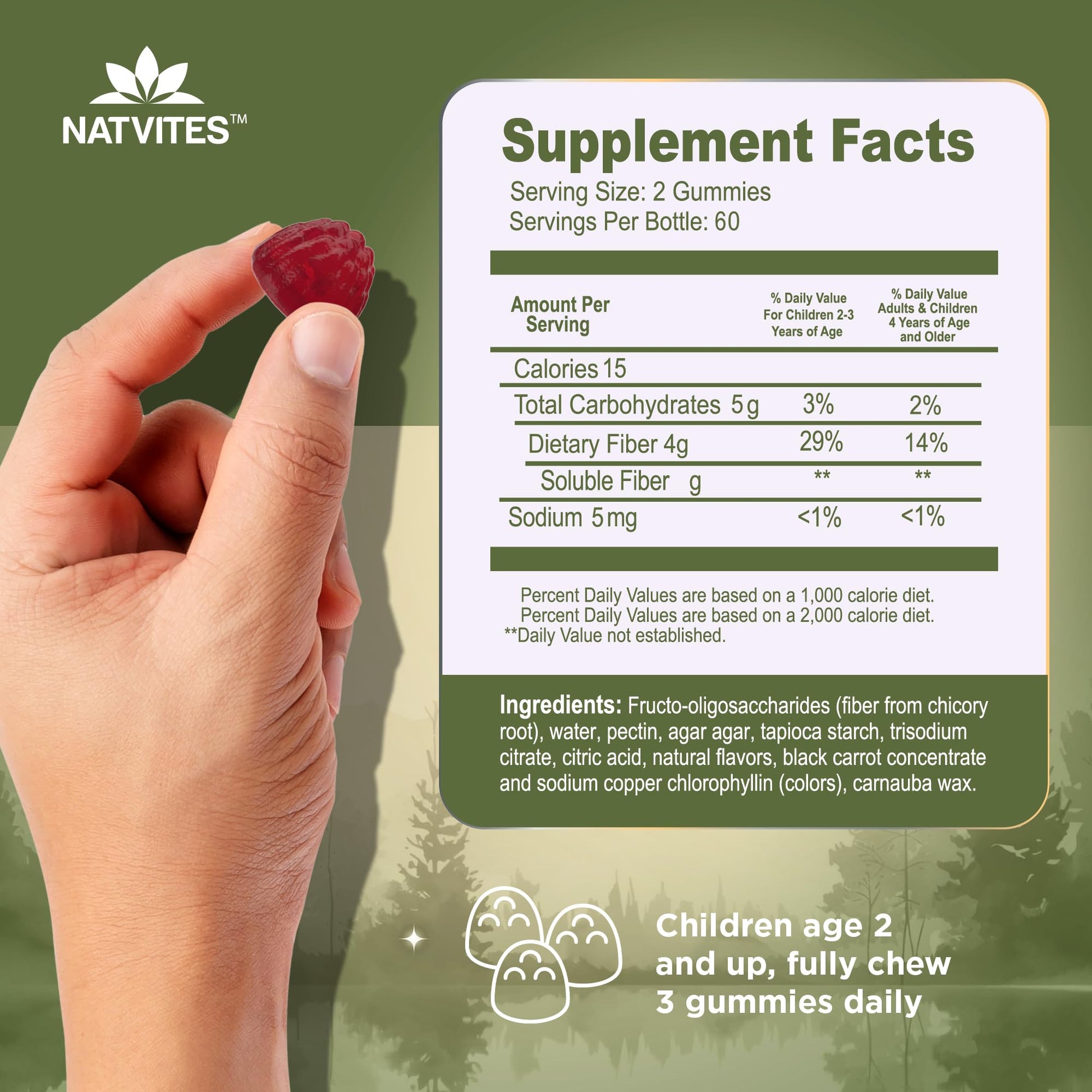 Natvites Prebiotic Kids Fiber Gummies, for Children Ages 2 & Up - Sugar Free Vegetarian Gelatin Free Non-GMO, Kids Fiber Supplements - dailyvitalstore