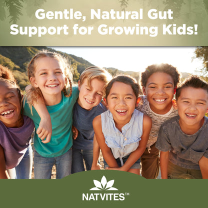 Natvites Prebiotic Kids Fiber Gummies, for Children Ages 2 & Up - Sugar Free Vegetarian Gelatin Free Non-GMO, Kids Fiber Supplements - dailyvitalstore