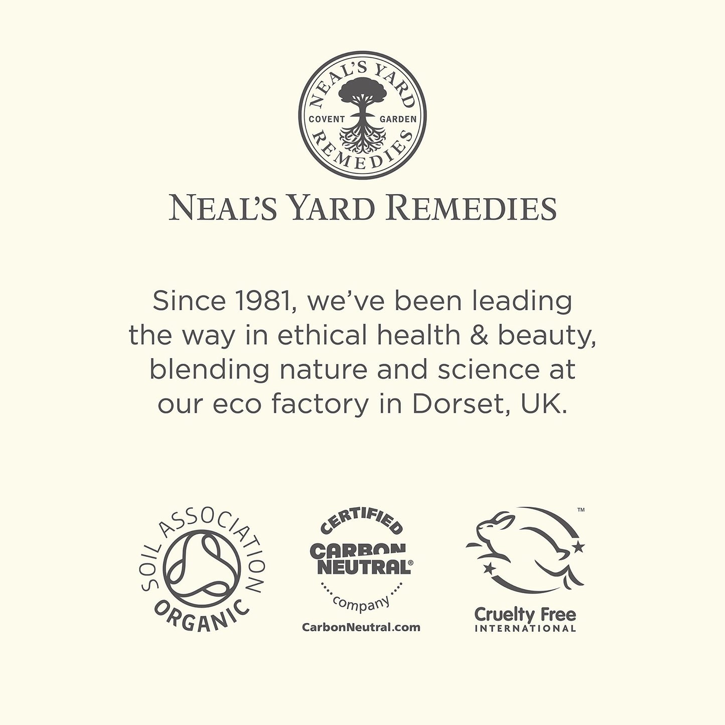 Neal's Yard Arnica Salve with Nourishing Oils & Soothing Beeswax for Sore Muscles, Aches & Stiffness, Vegetarian Approved, Cruelty Free,1.59 oz - dailyvitalstore